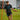 2025/26 CCM Training Bundle